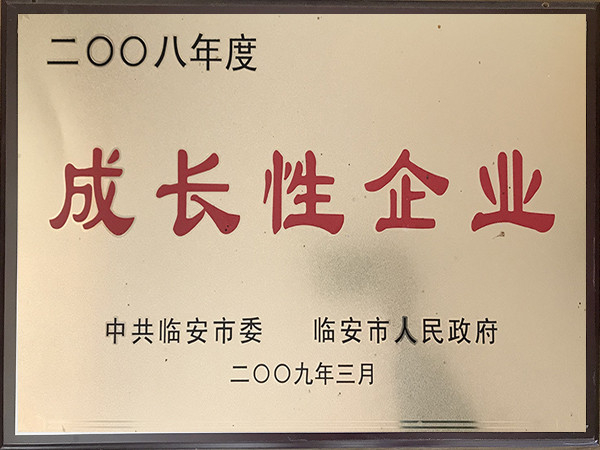 2008年度成長性企業